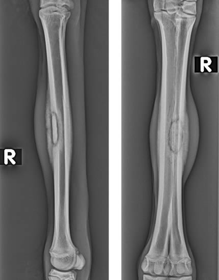 December 2012, Large animal case | OrthoVetSuperSite